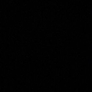 Meet your Posher, Evelyn